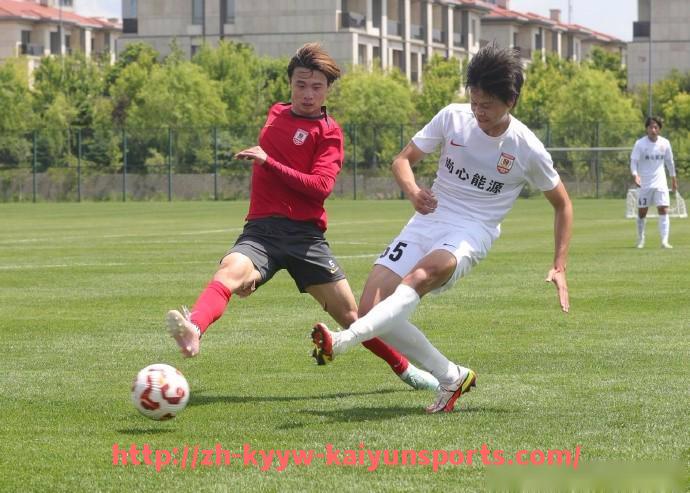 ky开云-英超球员籍贯排名及各国人数统计数据图表